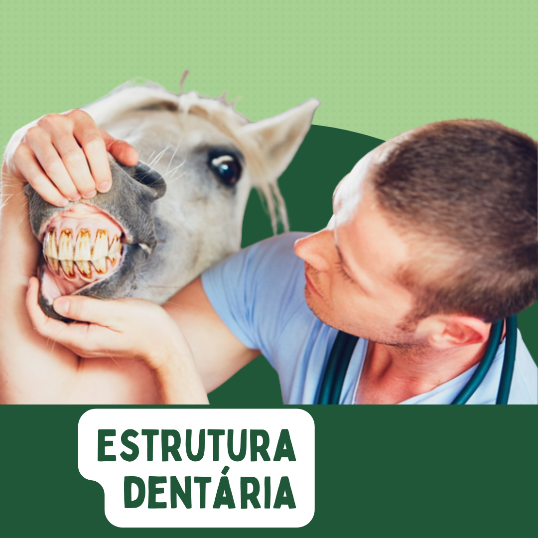 Dentária